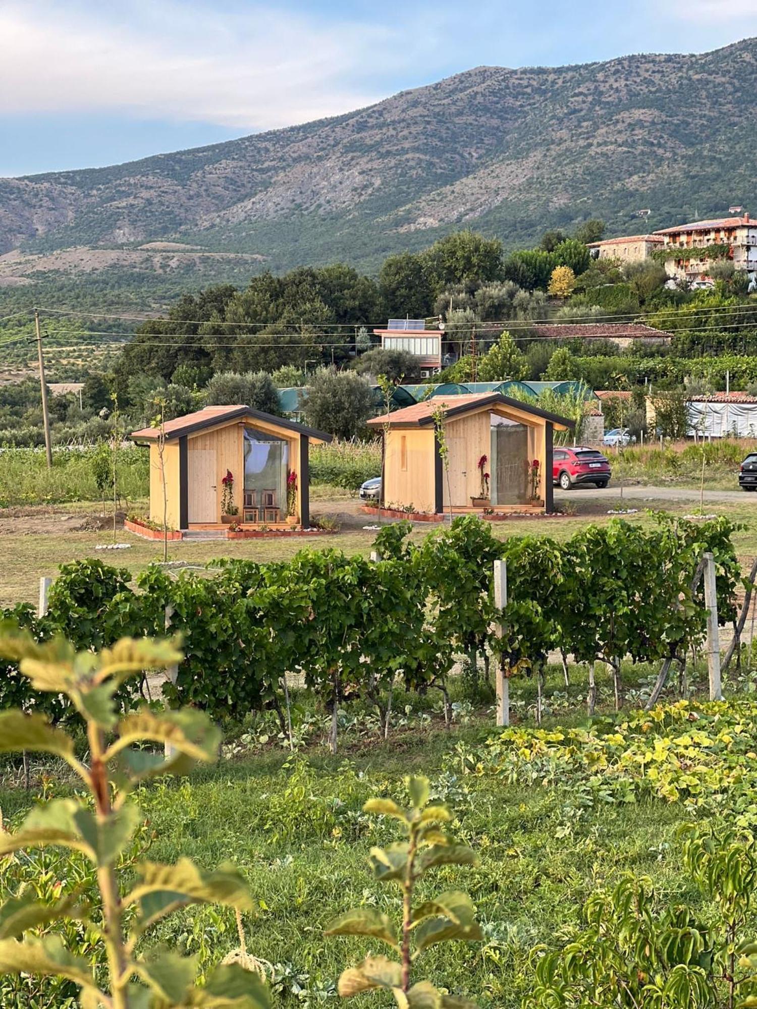 Fishta Guesthouse - Mrizi I Zanave Fishte Exterior foto